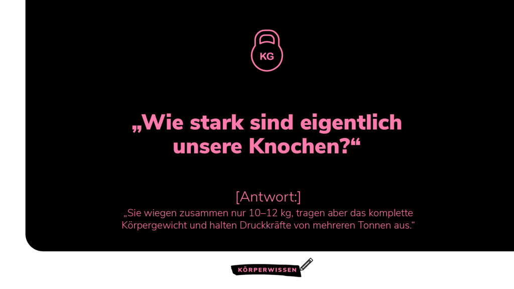 Infografik zum Thema Körperwissen: Wie stark sind menschliche Knochen?