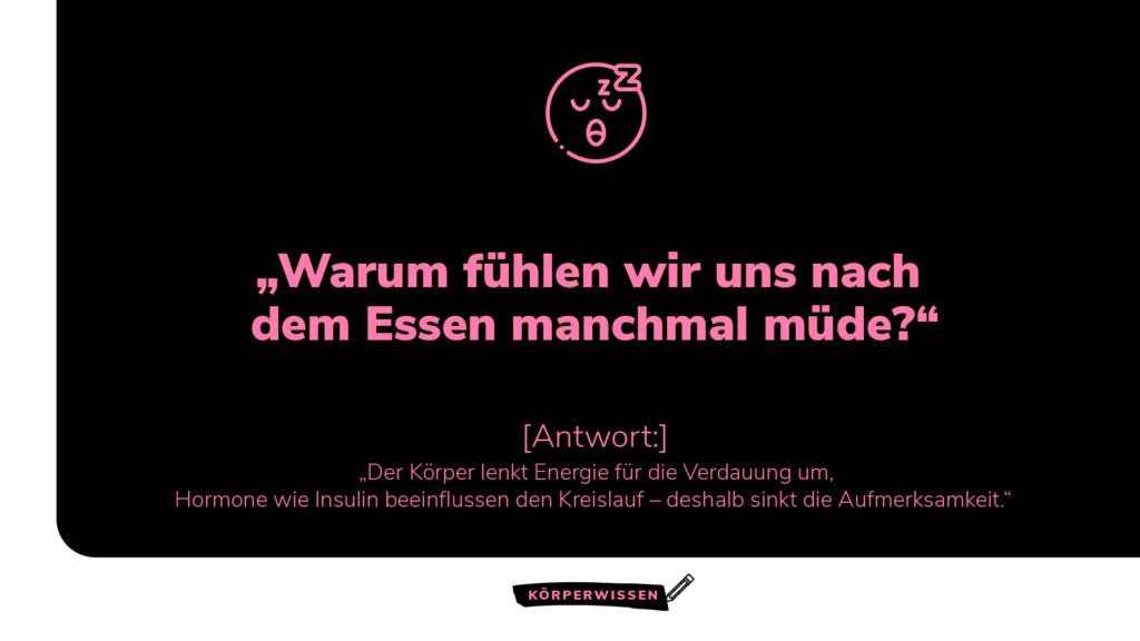 Grafik aus der Reihe Körperwissen mit der Frage: „Warum fühlen wir uns nach dem Essen manchmal müde?“ Antwort: Der Körper lenkt Energie für die Verdauung um, Hormone wie Insulin beeinflussen den Kreislauf – deshalb sinkt die Aufmerksamkeit.